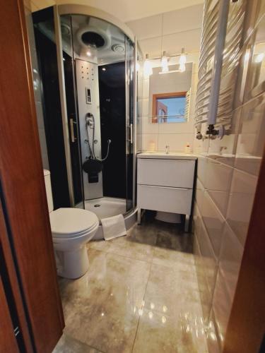 a bathroom with a toilet and a sink and a shower at Willa Kwiatano - Plac zabaw & Jacuzzi & Basen & Sauna - Budynek C in Grzybowo