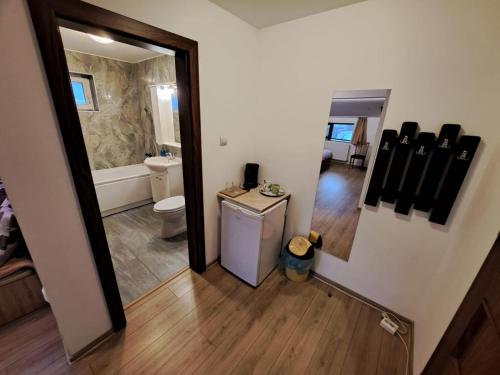 a bathroom with a sink and a toilet and a mirror at Apartment Cozia in Timişoara
