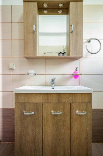 a bathroom with a sink and a mirror at Irene's Olive Guest house in Sami