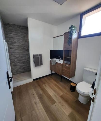 een badkamer met een toilet en een wastafel bij appartement 40 m 2 in Pérols