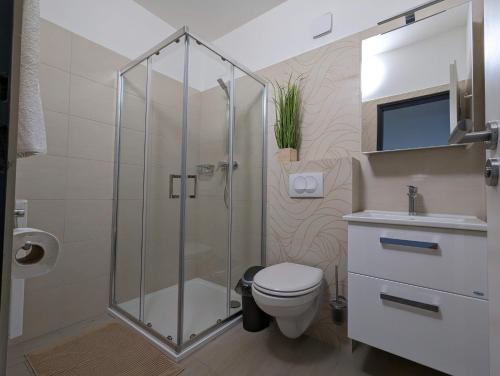 a bathroom with a shower and a toilet and a sink at Restaurace a penzion Gansberg in Cotkytle