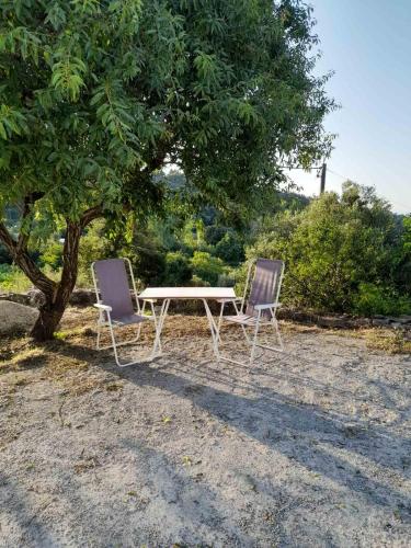 Zahrada ubytování Frantato Seaview