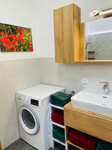 a bathroom with a washing machine and a sink at Ferienhaus Lemsitz 34 in Lemsitz