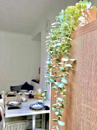 Apartman Mihaela