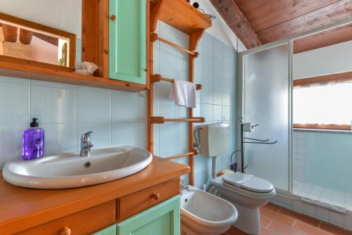 łazienka z umywalką i toaletą w obiekcie 12 Amiata Mountain Charm Pool, Fast Wi-Fi, Free Parking w mieście Castel del Piano