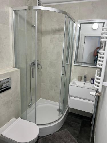 e bagno con doccia, servizi igienici e lavandino. di Apartament Hel 35 m2 a Hel