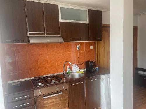 Kuhinja ili čajna kuhinja u objektu Sara House