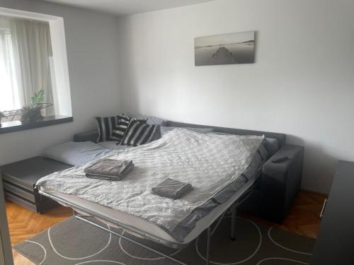 ein Bett und ein Sofa in einem Zimmer in der Unterkunft Sara House in Târgu Mureș