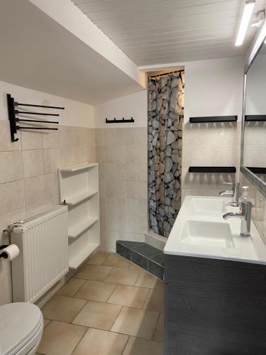 a bathroom with a sink and a toilet at Pokoje in Duszniki Zdrój