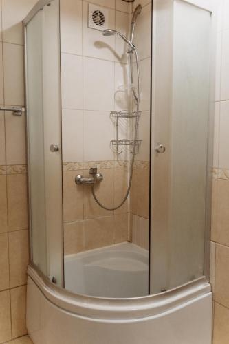 a shower with a glass door in a bathroom at Медовий in Vorokhta