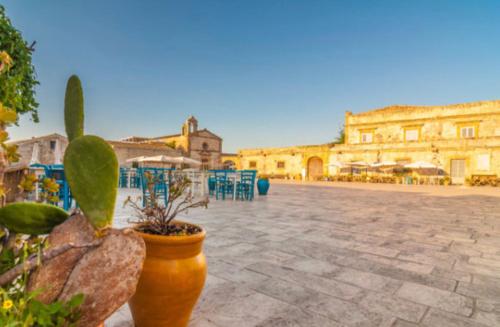a potted plant in a pot on a courtyard at SFEA HOME in Pachino