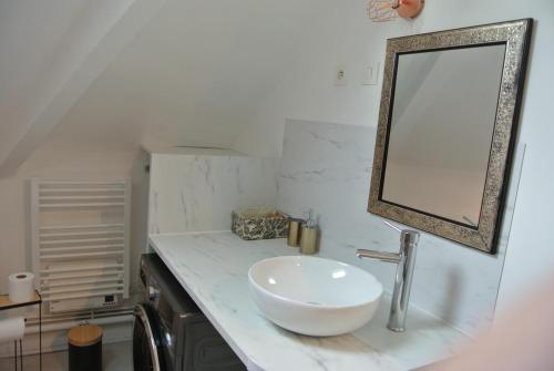 a bathroom with a sink and a mirror on a counter at Le Sakura Paris La Défence Versailles Wifi Commodités in Montesson