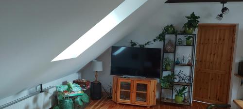 a living room with a flat screen tv on a stand at Chataa in Szczechy Małe
