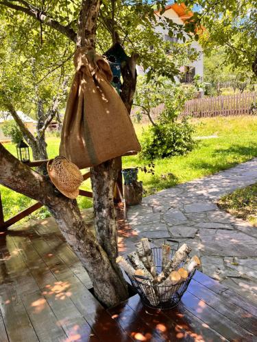 Κήπος έξω από το Ioska's House