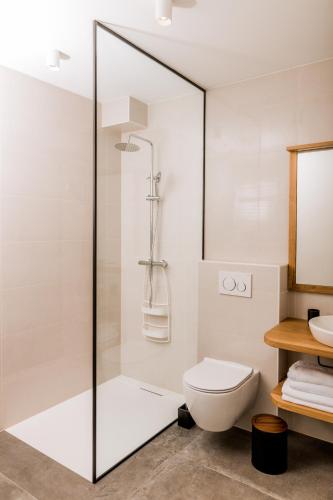 a bathroom with a shower with a toilet and a sink at Vina Kobal, Kobal Family Estate in Štanjel