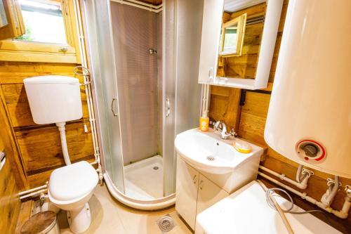 La salle de bains est pourvue de toilettes, d'une douche et d'un lavabo. dans l'établissement Brvnare 3 zvezde brvnara Veljko, à Kokin Brod