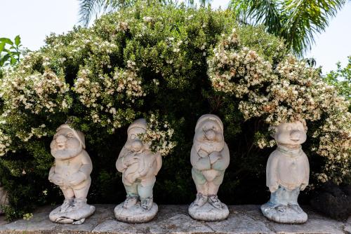 Κήπος έξω από το Villa Tre 's'