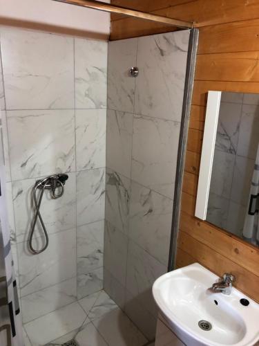 a bathroom with a shower and a sink at Casutele Deny Băile Figa cu aer condiționat in Beclean