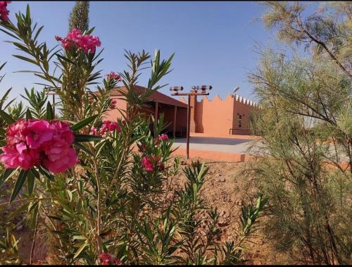a building in the desert with flowers in the foreground at منتجع تل الزيتون 