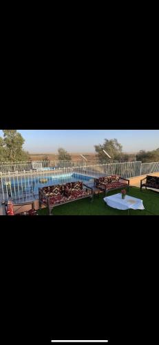 a large swimming pool with a pool at منتجع تل الزيتون 