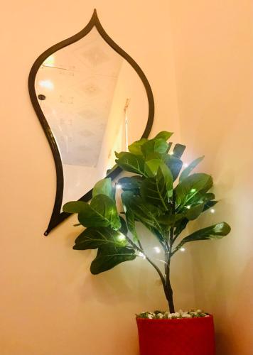 a plant in a red pot in front of a mirror at Whispering Pines Dalat (Thông Thì Thầm ĐL) in Da Lat