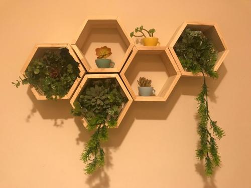 four shelves on a wall with potted plants at Whispering Pines Dalat (Thông Thì Thầm ĐL) in Da Lat