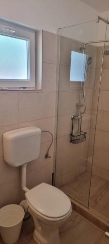 a bathroom with a toilet and a glass shower at VILA DVG II in Costinesti