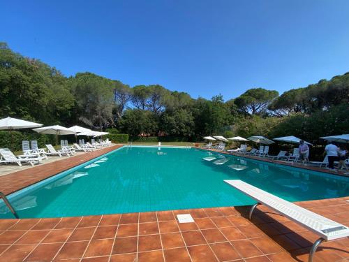 een groot zwembad met stoelen en parasols bij Appartamenti sul mare Villa il Fortullino in Case Fortullino