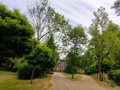 uma casa rodeada de árvores e uma estrada de terra em Chalet Forsthof Everstorf - kleine Wohnung em Grevesmühlen
