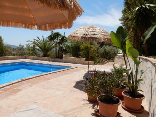 a swimming pool with an umbrella and potted plants at Bed and Breakfast Lagabella in Sedella