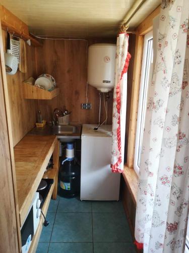 a small kitchen with a refrigerator and a sink at Griežto 5 in Zarasai