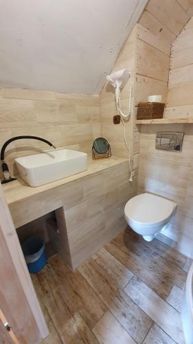 a bathroom with a white toilet and a sink at Bieszczady Domki w Dolinie Sanu in Lutowiska