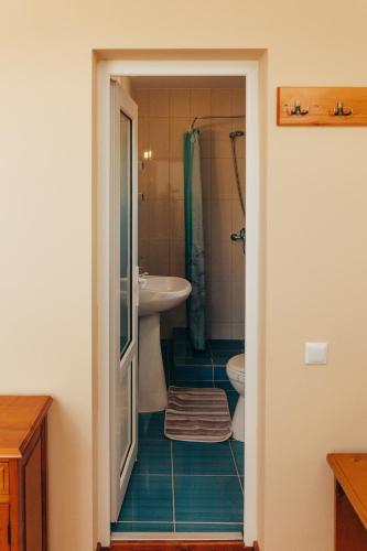 a bathroom with a shower and a sink and a toilet at Vila Carmen-camere de închiriat 3 stele in Baile Unu Mai