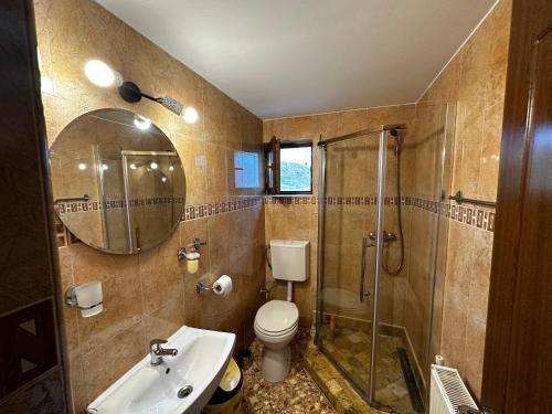 ein Bad mit einem WC, einer Dusche und einem Waschbecken in der Unterkunft Pensiunea Dunarea Isaccea 