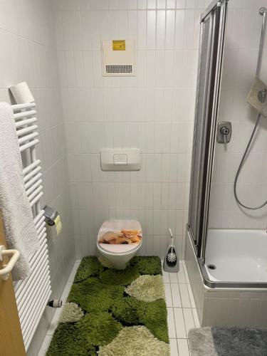 a bathroom with a toilet with a green rug at Friebert in Biberach an der Riß