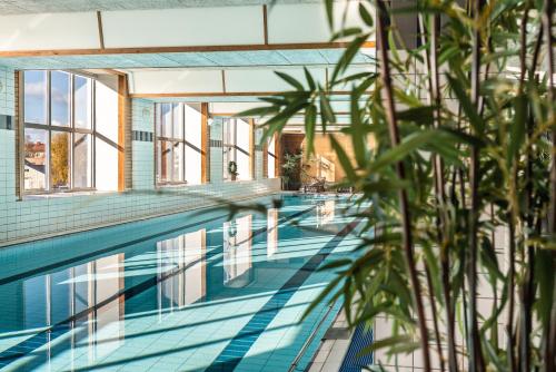 a swimming pool with plants in the foreground at Sunlight Hotel Conference & Spa in Nyköping