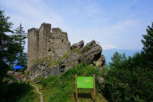 a castle on a hill with a sign in front of it at HERZLI-CHALET über dem Rheintal mit Schlossblick in Werdenberg
