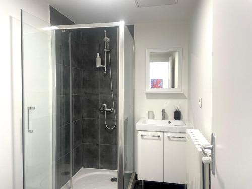 ein Badezimmer mit Dusche und Waschbecken in der Unterkunft Appartement avec vue sur le port in Sète