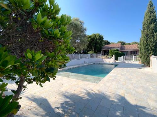 a swimming pool in a yard with a tree at residence Catalani in Zonza
