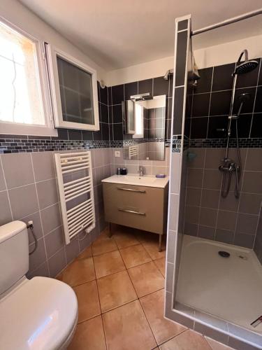 y baño con aseo, lavabo y ducha. en residence Catalani, en Zonza