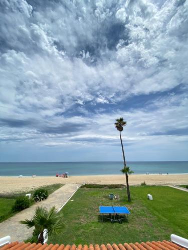 a palm tree and a picnic table on the beach at Villa avec jardin sur la plage - Complexe Al Amine in Fnidek