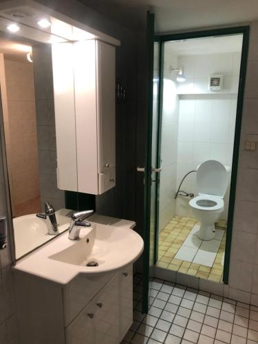 een badkamer met een wastafel en een toilet bij Villa Marta in Štúrovo