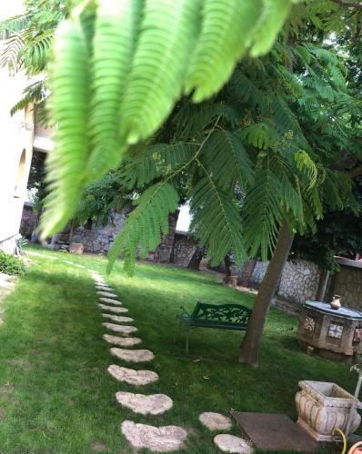 a tree and a stone path in a yard with a bench at Villa Marta in Štúrovo