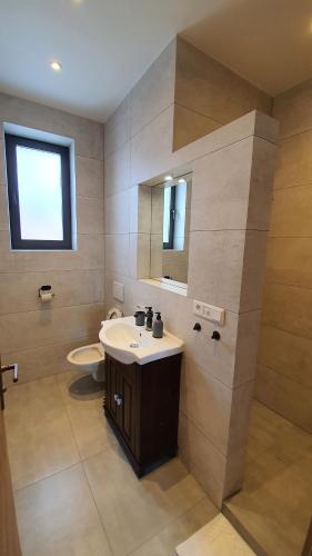 a bathroom with a sink and a toilet at Mountain Houses Kubínska hoľa in Dolný Kubín
