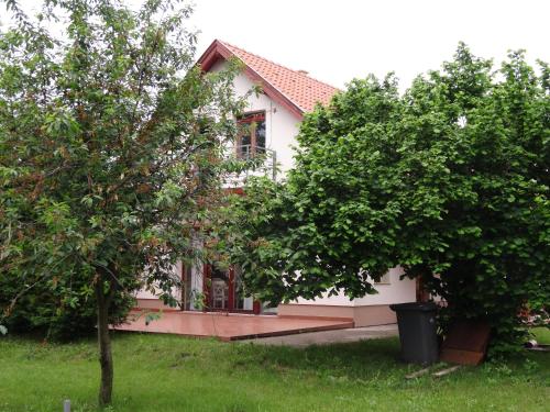 a small white house with trees in front of it at Happy Mammy Bababarát Vendégház Fészek utca in Orosháza