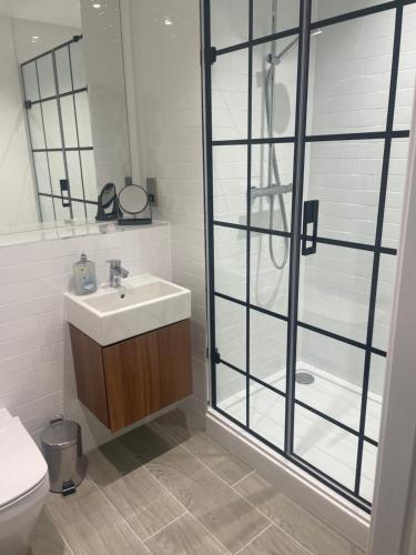 a bathroom with a shower and a sink and a toilet at Modern City Centre Apartment in Birmingham