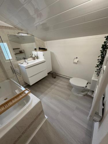 a white bathroom with a toilet and a sink at Maison Françoise in Aix-en-Provence