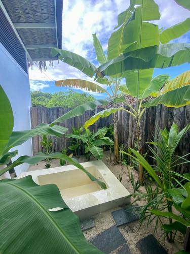 Zahrada ubytování Limbo Atins Chalets - Lençóis Maranhenses