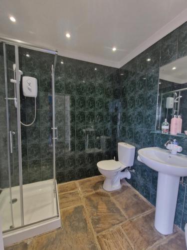a bathroom with a toilet and a sink and a shower at Molly Dishwasher Shepherds Hut in Frant