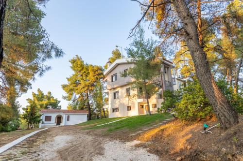 Gallery image of Natura Suites in Vourvourou